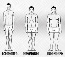 tipo di corpo