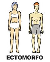 Somatotipo Ectomorfo