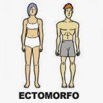 A quale somatotipo appartieni? Endomorfo, Ectomorfo, Mesomorfo