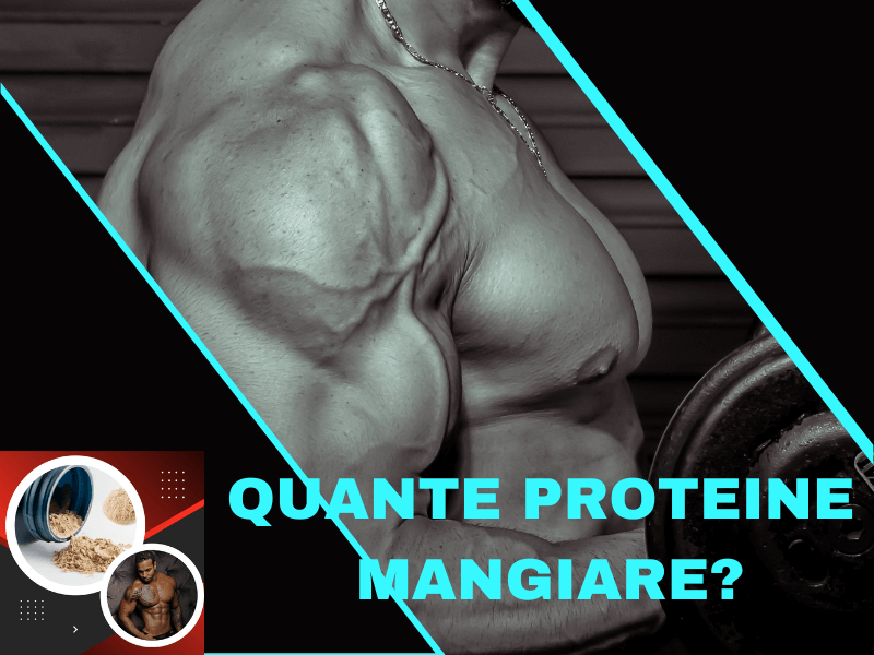 quante proteine mangiare