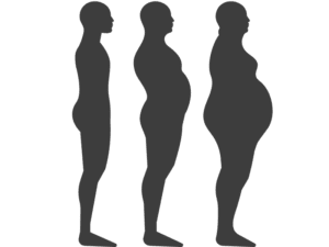 somatotipo significato