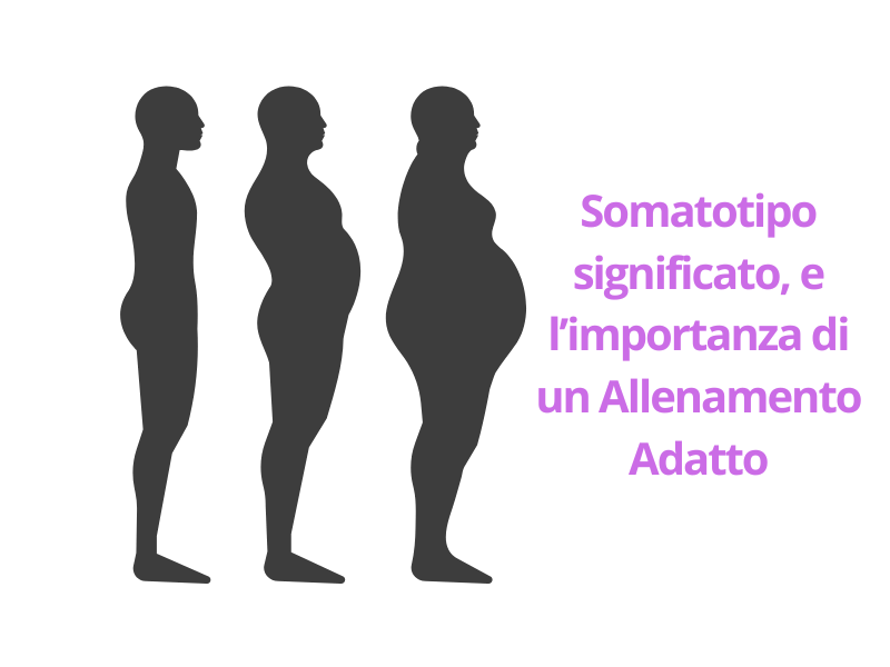 somatotipo significato