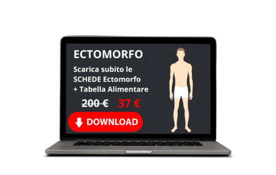 ECTOMORFO (1)