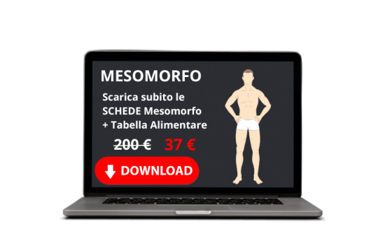 MESOMORFO (1)